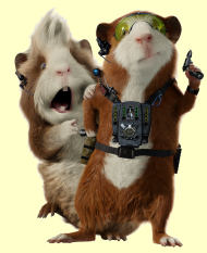 G-Force
